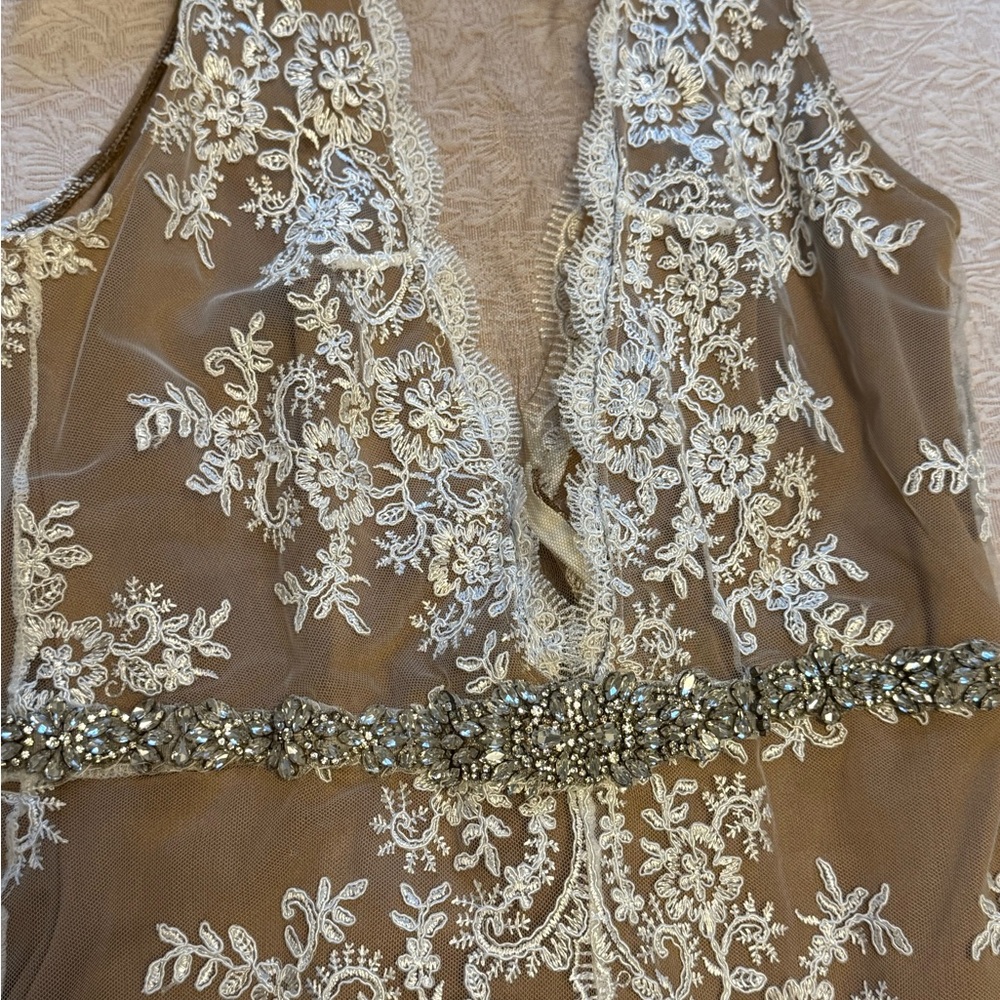 Elegant Tan Lace Dress with Beaded Detail